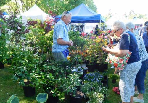 The Geraldine Summer Fete and The Geraldine Festival