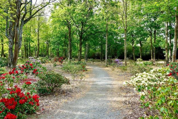 Riverside rhododendron walkway Geraldine New Zealand things to do
